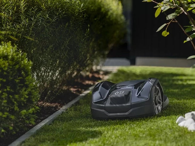 <h3>Garden</h3>
